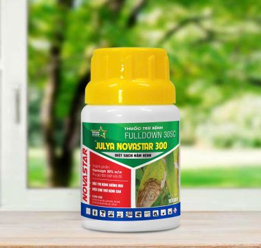 JULYA NOVASTAR 300