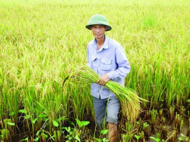 Trần Thanh Ngọc