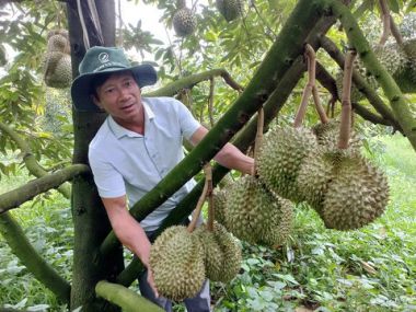 Phạm Tiến Dũng