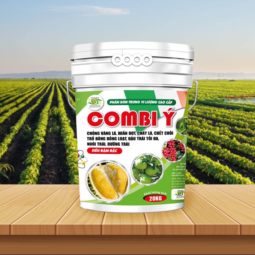 COMBI Ý