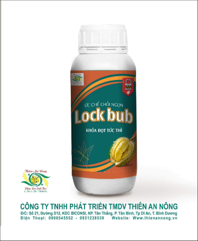 LOCK  BUB (Ức chế chồi ngọn – Khóa đọt tức thì)