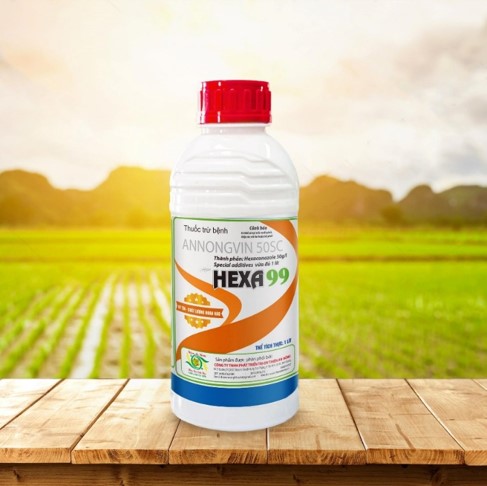 HEXA 99